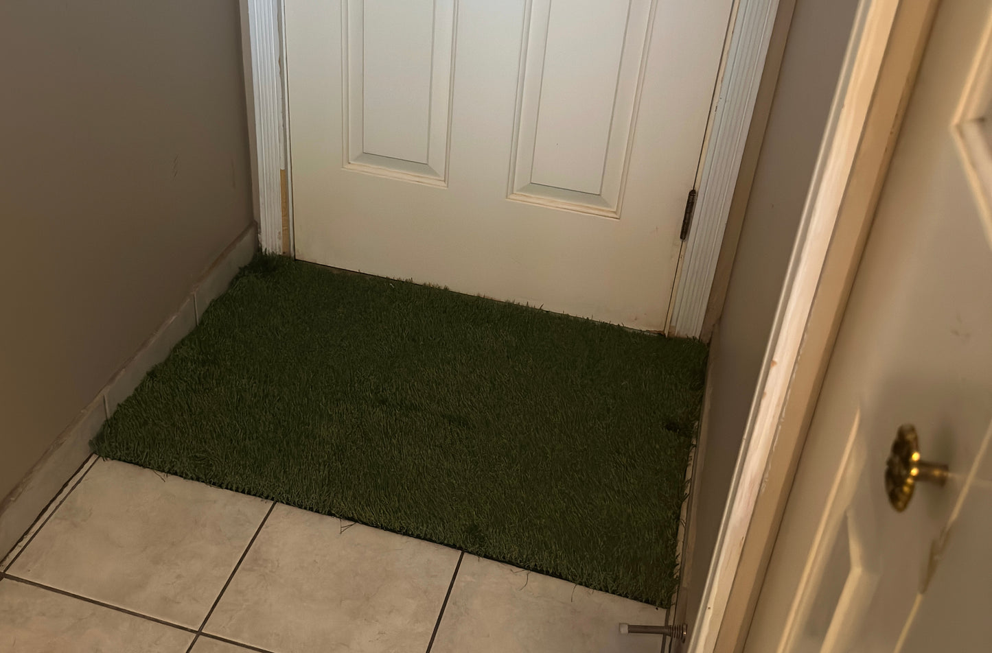 Premium Boot Mat - Professional Grade (2ft x 3ft)
