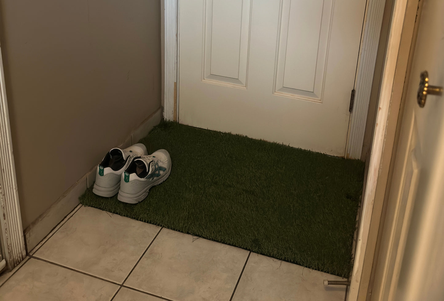 Premium Welcome Mat - Professional Grade (2ft x 3ft)